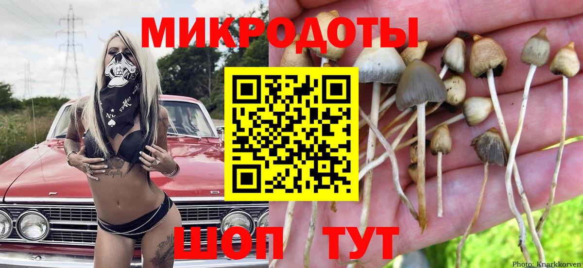 где купить наркоту  Псилоцибиновые грибы GOLDEN TEACHER  Вход с VPN  Чехов 
