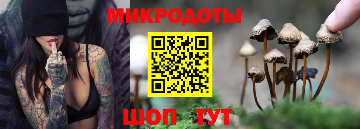 Псилоцибиновые грибы ЛСД Чехов